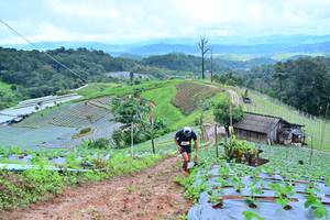 BIB: 1587
                            <button type="button" onclick="openModal(13378687)" class="btn btn-primary btn-sm float-right btn-popup" data-toggle="modal" data-target=".modal-high-quality">
                        <i class="fas fa-shopping-cart"></i> Add to Cart
                    </button>
                                            <button type="button" onclick="isThisMe(13378687, true)" class="btn btn-success btn-sm float-right btn-popup btn-isme hidden" data-toggle="tooltip" data-placement="bottom" title="นี่คือรูปของคุณใช่ไหม คลิกที่นี่เพื่อเอาเข้าอัลบั้ม">
                        <i class="fas fa-plus"></i> Add to album
                    </button>
                    <button type="button" onclick="isThisMe(13378687, false)" class="btn btn-warning btn-sm float-right btn-popup btn-isnotme hidden">
                        <i class="fas fa-ban"></i> Remove from album
                    </button>